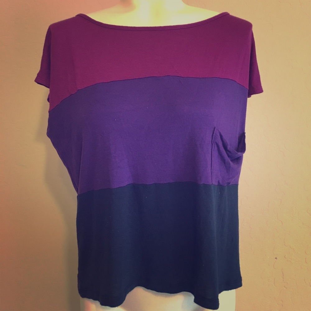 Soprano Color Block Crop Top
